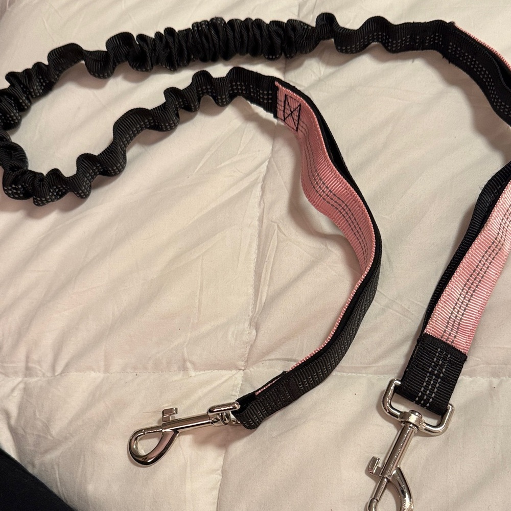 Dog Double Bungee Leash attachment.